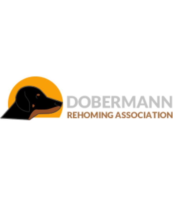 Doberman rehoming store